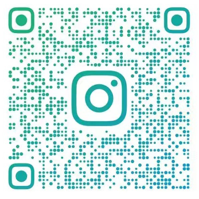 ins11